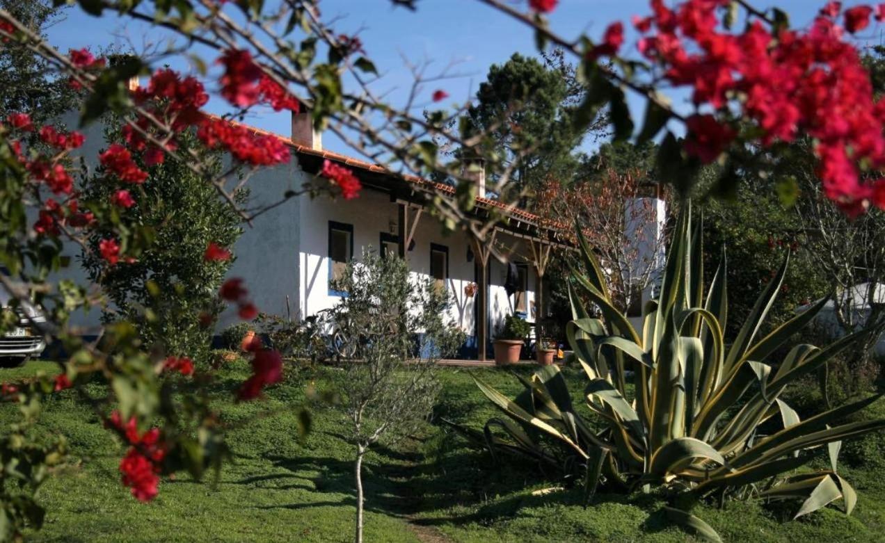 São Teotónio Monte Da Choca 게스트하우스 외부 사진